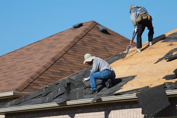 Best Roof Moss and Algae Removal  in Crooks, SD